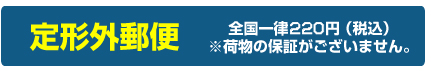 定形外郵便（全国一律220円）